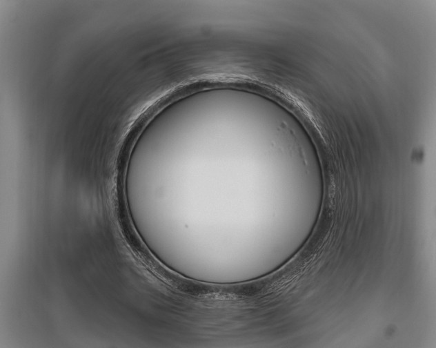 X0000095960535200801110948