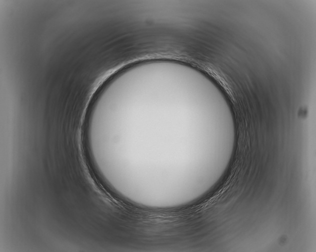 X0000095960536200801110948