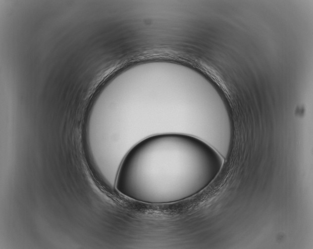 X0000095960538200801110948