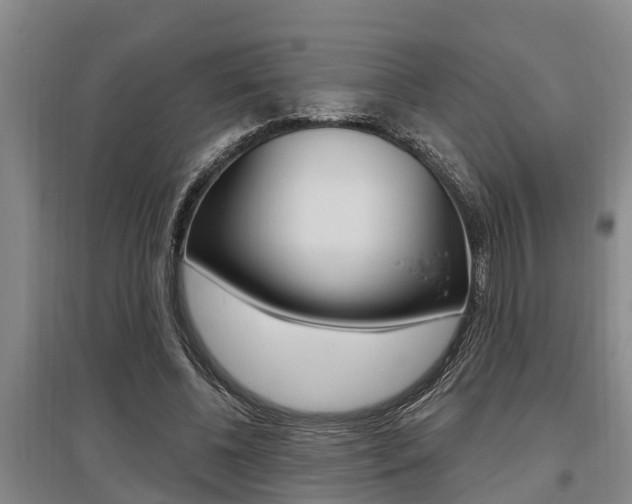 X0000095960540200801110948