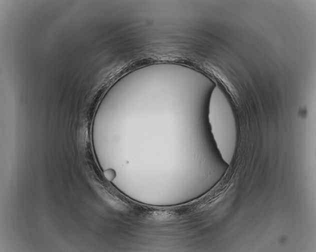 X0000095960541200801110948
