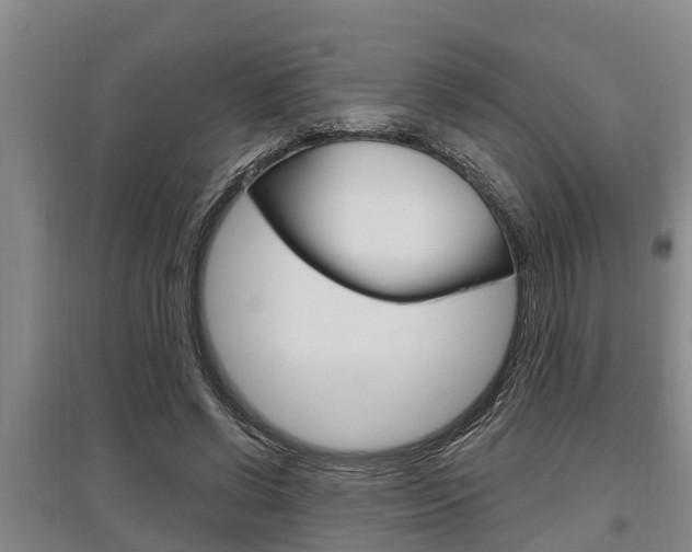 X0000095960542200801110948