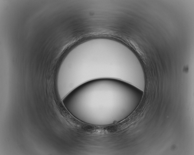 X0000095960543200801110948