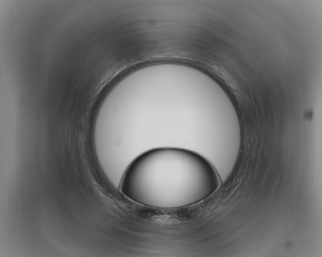 X0000095960544200801110948
