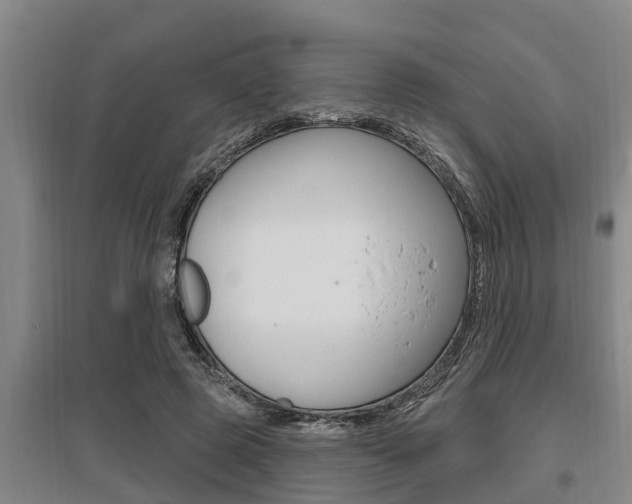 X0000095960545200801110948