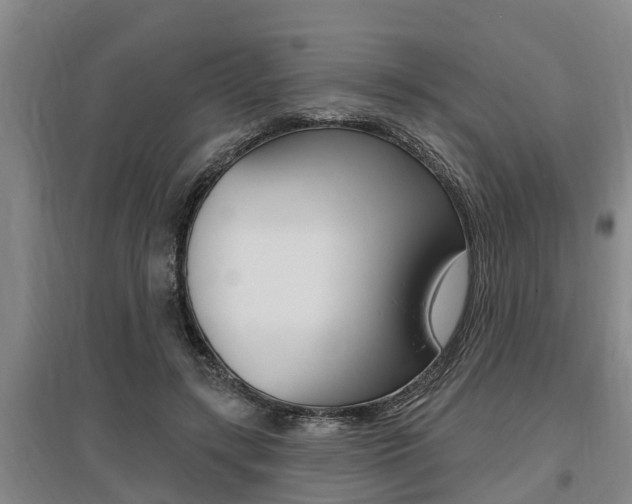 X0000095960547200801110948