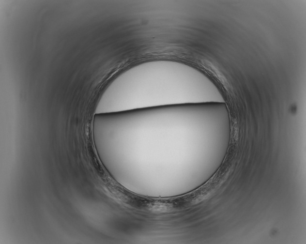 X0000095960549200801110948