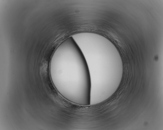 X0000095960550200801110948