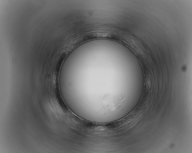 X0000095960551200801110948