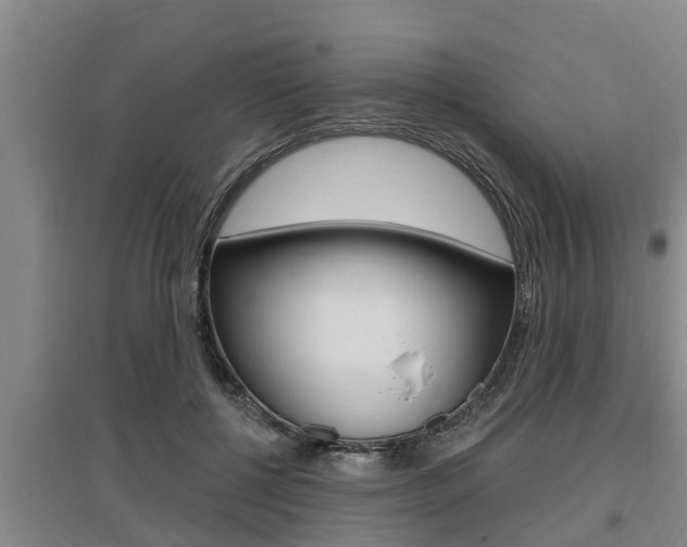 X0000095960552200801110948