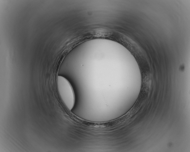 X0000095960554200801110948