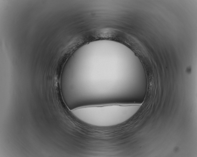 X0000095960555200801110948
