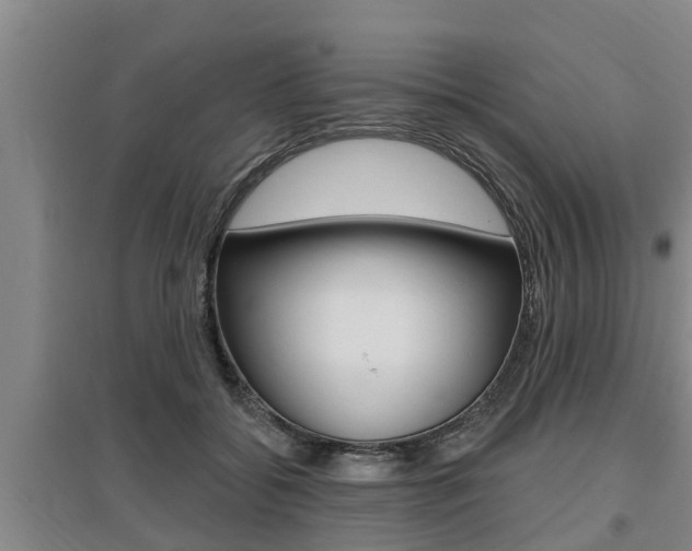 X0000095960556200801110948