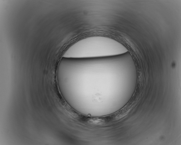 X0000095960557200801110948