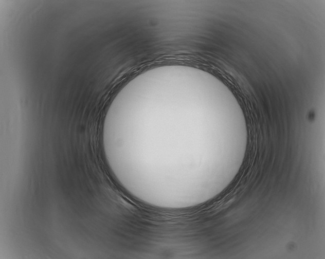 X0000095960558200801110948