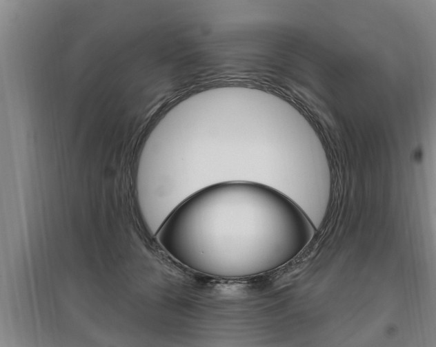 X0000095960560200801110948