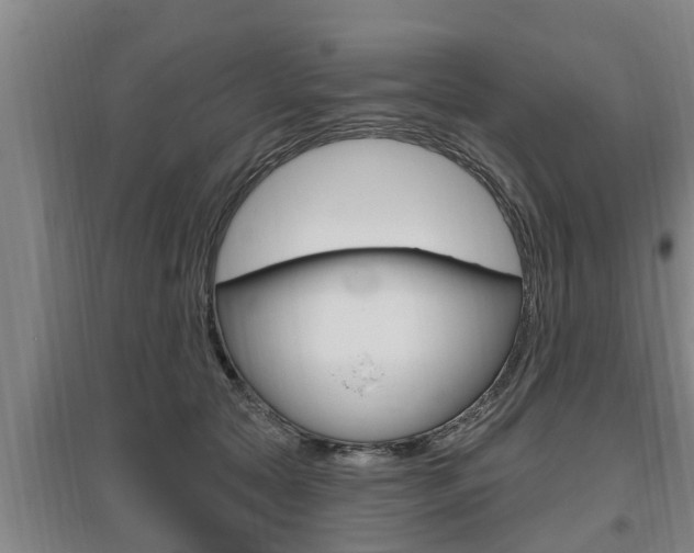 X0000095960561200801110948