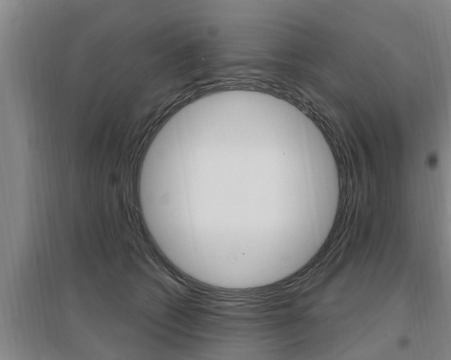 X0000095960562200801110949