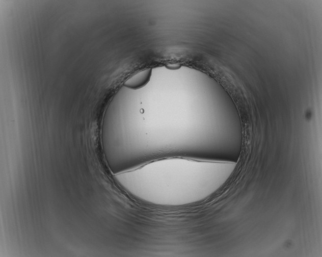 X0000095960563200801110949