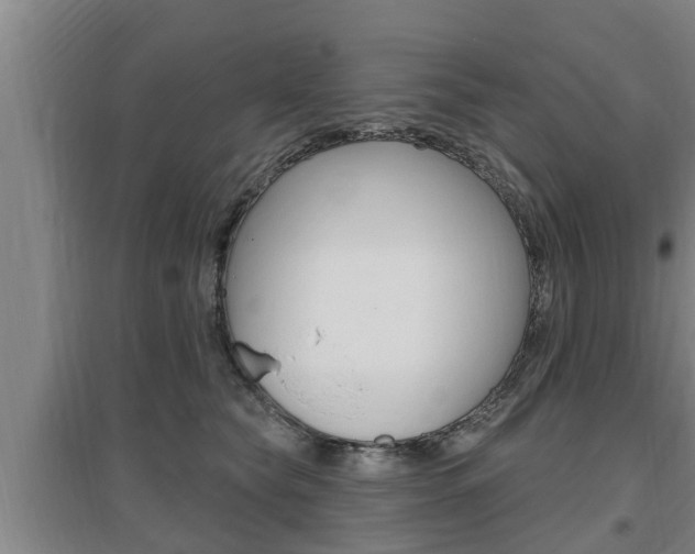 X0000095960565200801110949