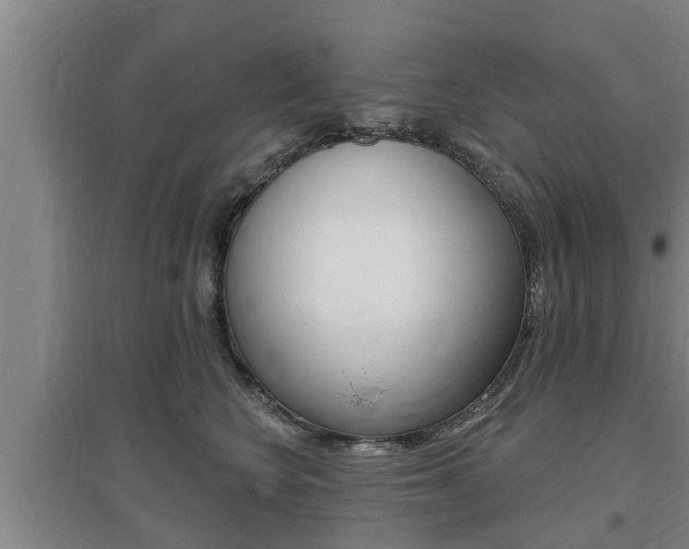 X0000095960566200801110949