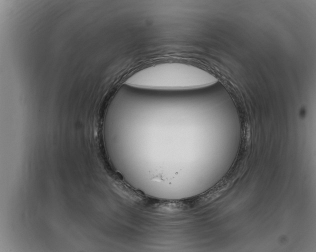 X0000095960567200801110949