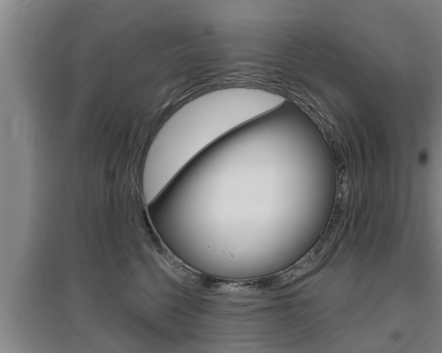 X0000095960568200801110949