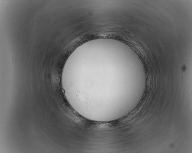 X0000095960569200801110949