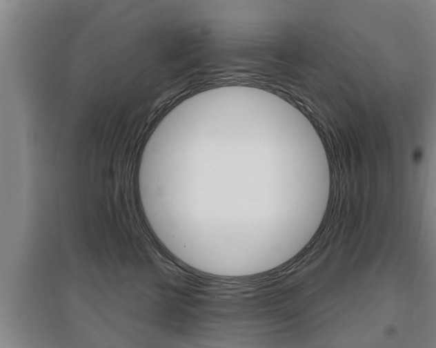 X0000095960570200801110949