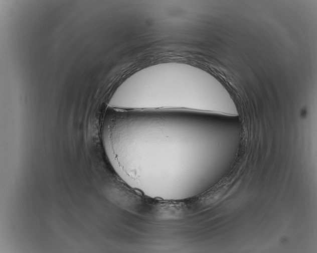 X0000095960571200801110949