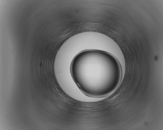 X0000095960575200801110949