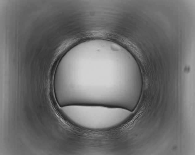 X0000095960578200801110948