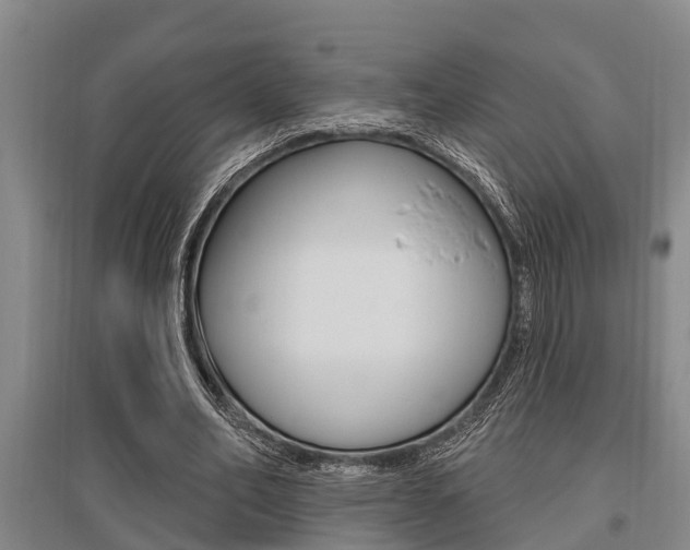 X0000095960582200801110948