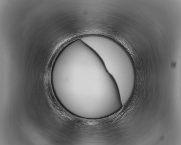 X0000095960583200801110948