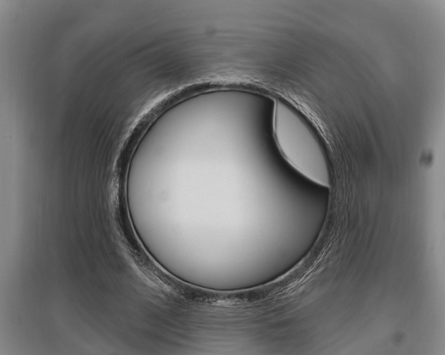 X0000095960584200801110948