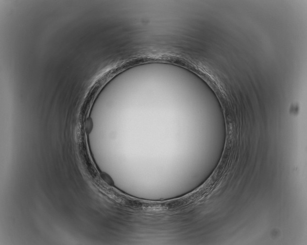 X0000095960587200801110948