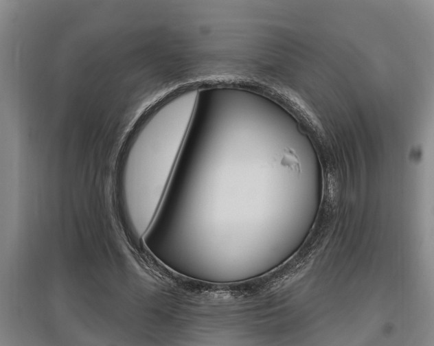 X0000095960588200801110948