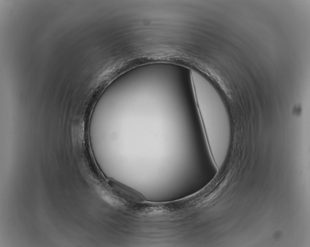 X0000095960589200801110948