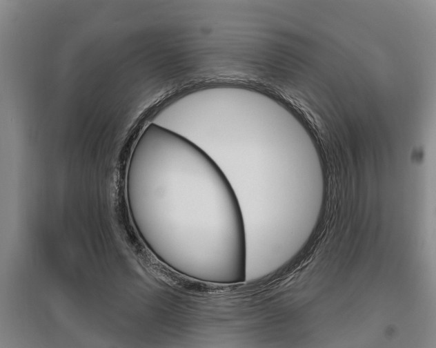 X0000095960591200801110948