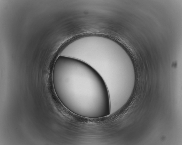 X0000095960592200801110948