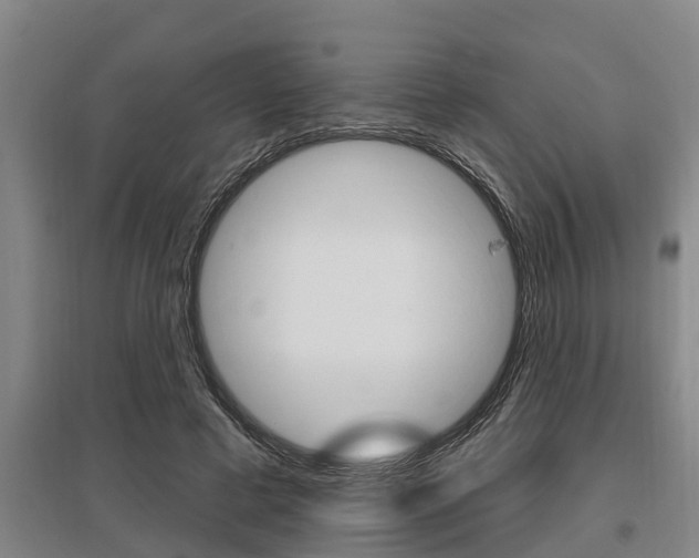 X0000095960593200801110948