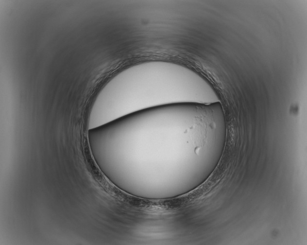 X0000095960594200801110948
