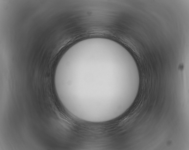 X0000095960595200801110948