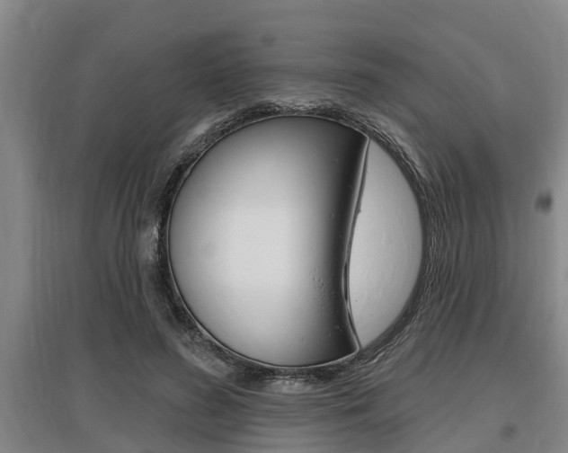 X0000095960596200801110948