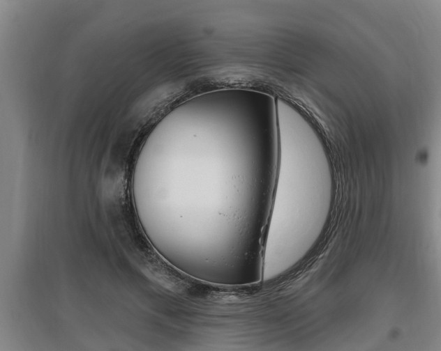 X0000095960597200801110948