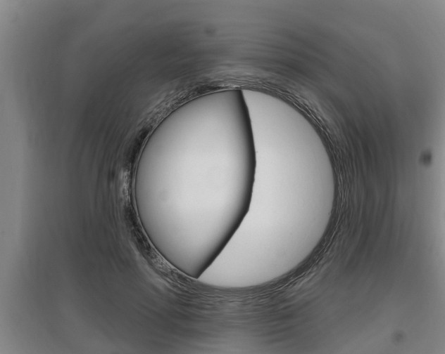X0000095960598200801110948