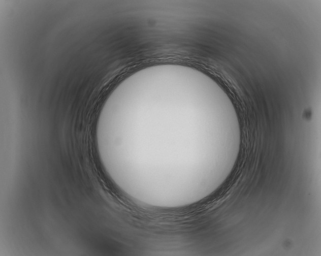 X0000095960599200801110948