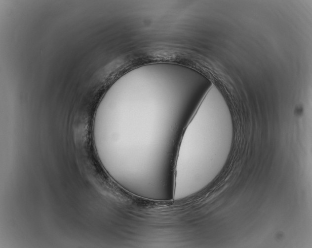 X0000095960600200801110948