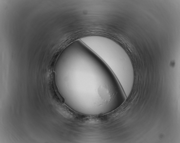 X0000095960601200801110948