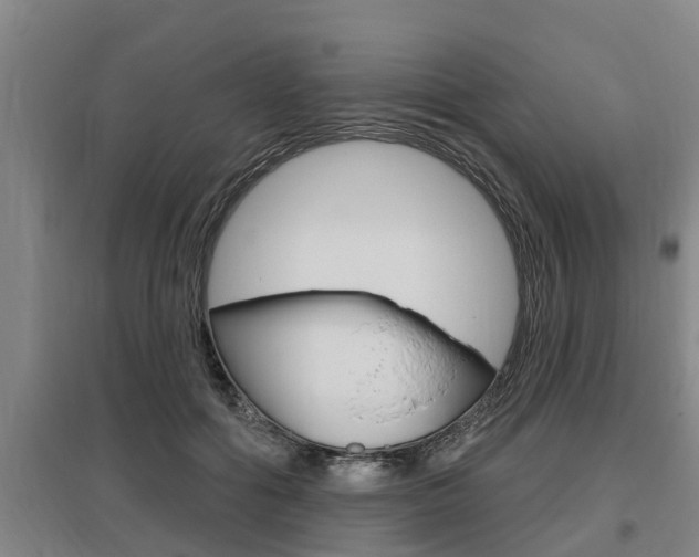 X0000095960602200801110948